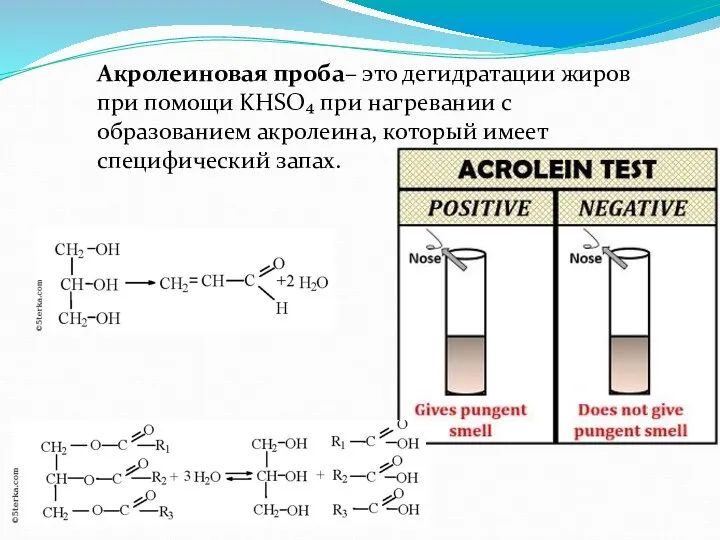 Акролеиновая проба– это дегидратации жиров при помощи KHSO₄ при нагревании с образованием