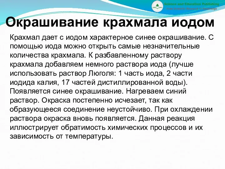 Окрашивание крахмала иодом Крахмал дает с иодом характерное синее окрашивание. С помощью