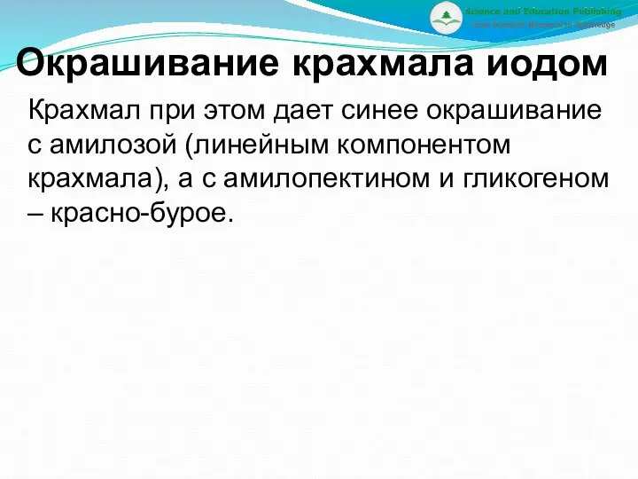 Окрашивание крахмала иодом Крахмал при этом дает синее окрашивание с амилозой (линейным