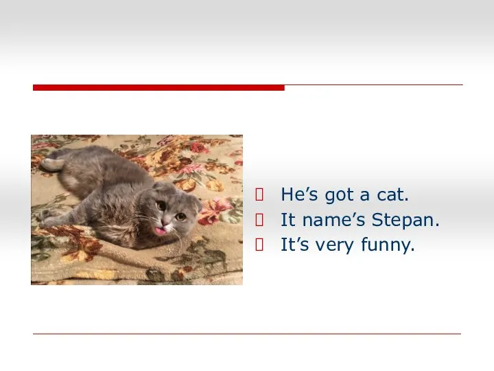 He’s got a cat. It name’s Stepan. It’s very funny.
