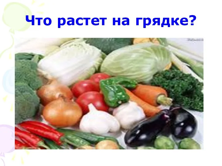 Что растет на грядке?