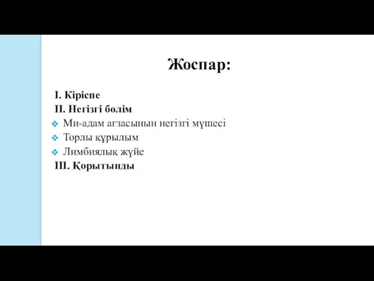 Жоспар: I. Кіріспе II. Негізгі бөлім Ми-адам ағзасынын негізгі мүшесі Торлы құрылым Лимбиялық жүйе III. Қорытынды