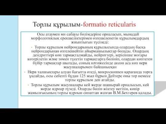 Осы атаумен ми сабауы бөлімдеріне орналасып, мынадай морфологиялық ерекшеліктерімен өзгешеленетін құрылымдардың жиынтығын