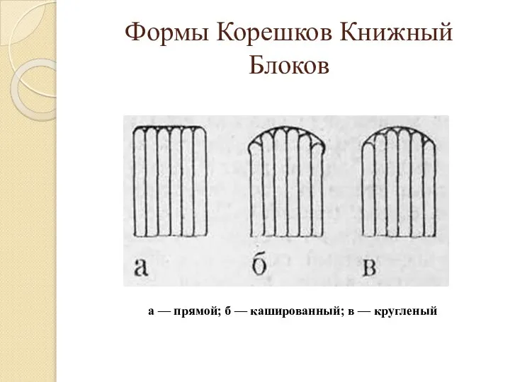 Формы Корешков Книжный Блоков а — прямой; б — кашированный; в — кругленый