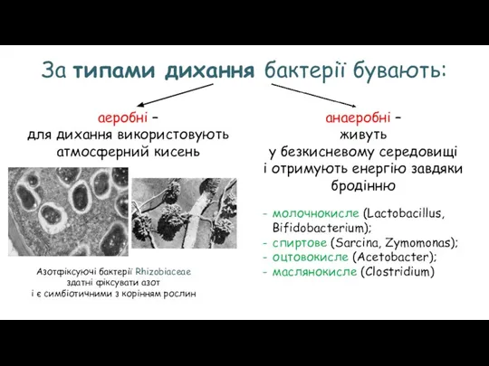 За типами дихання бактерії бувають: аеробні – для дихання використовують атмосферний кисень
