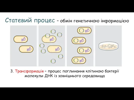 Статевий процес – обмін генетичною інформацією 3. Трансформація – процес поглинання клітиною