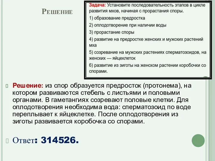 Решение Решение: из спор образуется предросток (протонема), на котором развиваются стебель с