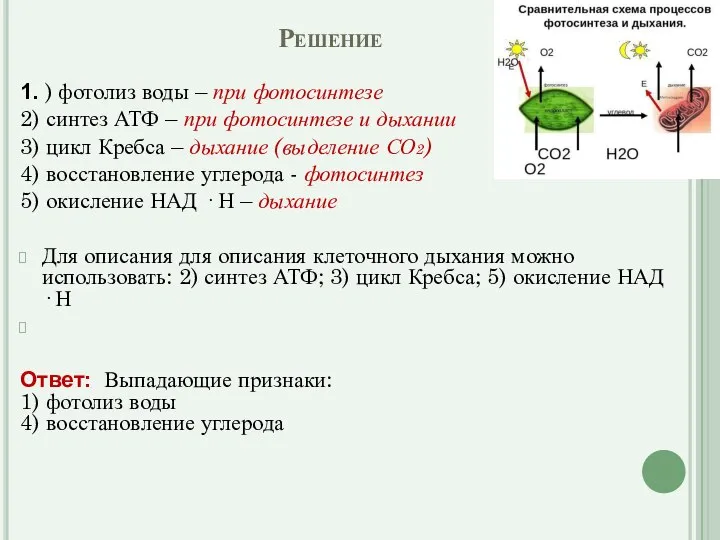 Решение 1. ) фотолиз воды – при фотосинтезе 2) синтез АТФ –