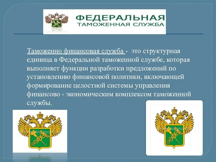 Таможенно финансовая служба - это структурная единица в Федеральной таможенной службе, которая