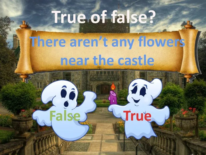 True of false? There aren’t any flowers near the castle