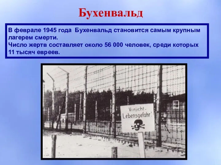 Бухенвальд В феврале 1945 года Бухенвальд становится самым крупным лагерем смерти. Число