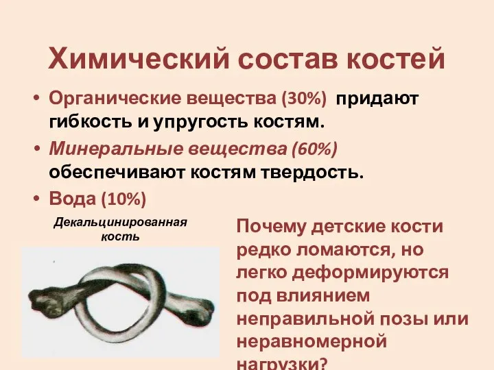 Химический состав костей Органические вещества (30%) придают гибкость и упругость костям. Минеральные