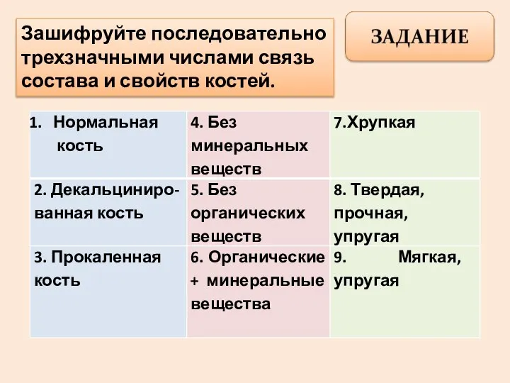 Зашифруйте последовательно трехзначными числами связь состава и свойств костей.