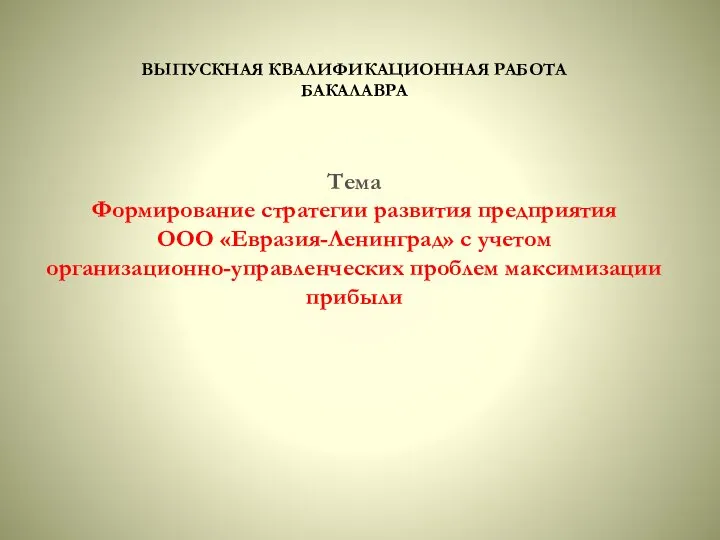 Формирование стратегии развития ООО Евразия-Ленинград с учетом организационно-управленческих проблем максимизации прибыли