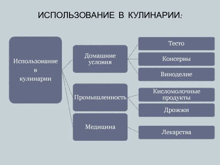 ИСПОЛЬЗОВАНИЕ В КУЛИНАРИИ: