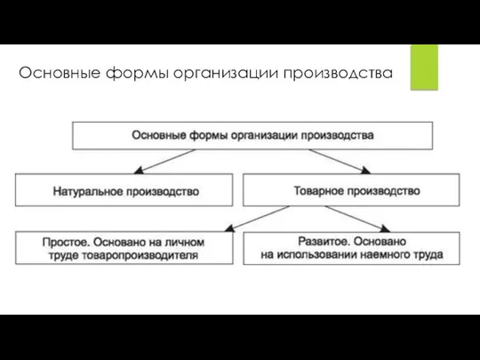 Основные формы организации производства