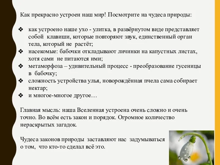 Как прекрасно устроен наш мир! Посмотрите на чудеса природы: как устроено наше