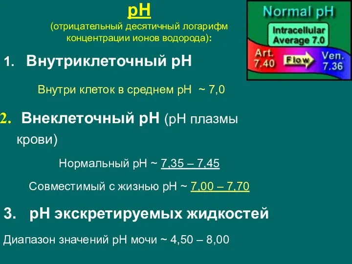 рН (отрицательный десятичный логарифм концентрации ионов водорода): 1. Внутриклеточный рН Внутри клеток