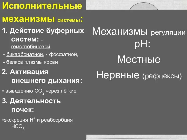 Исполнительные механизмы системы: 1. Действие буферных систем: - гемоглобиновой, - бикарбонатной, -