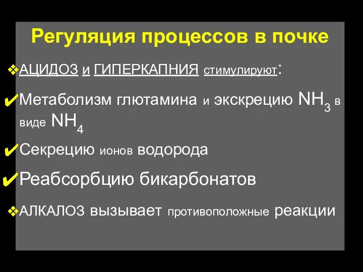 Регуляция процессов в почке АЦИДОЗ и ГИПЕРКАПНИЯ стимулируют: Метаболизм глютамина и экскрецию