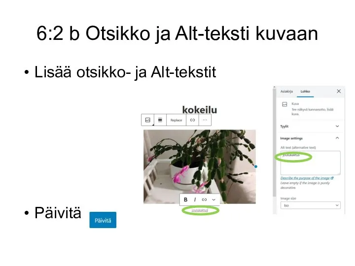 6:2 b Otsikko ja Alt-teksti kuvaan Lisää otsikko- ja Alt-tekstit Päivitä