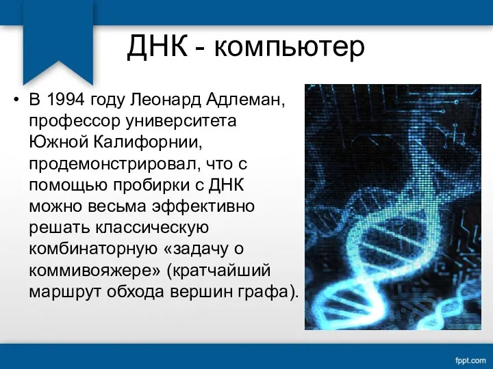 ДНК - компьютер В 1994 году Леонард Адлеман, профессор университета Южной Калифорнии,