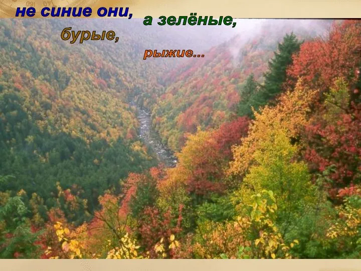 не синие они, а зелёные, бурые, рыжие...