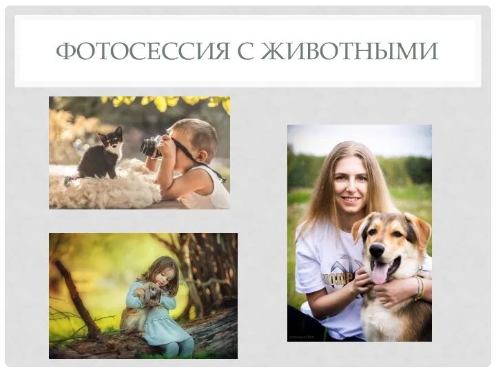 ФОТОСЕССИЯ С ЖИВОТНЫМИ