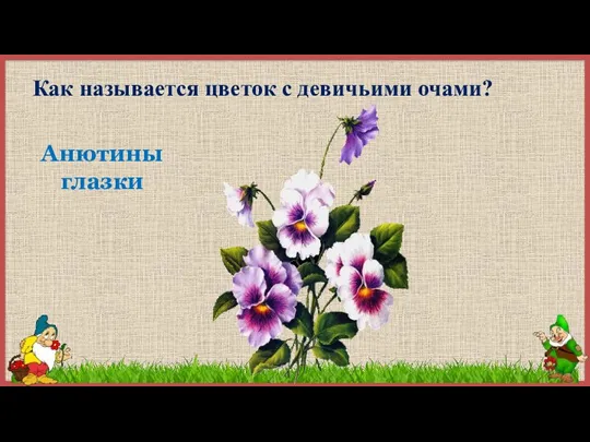 Как называется цветок с девичьими очами? Анютины глазки