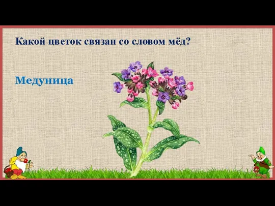 Какой цветок связан со словом мёд? Медуница