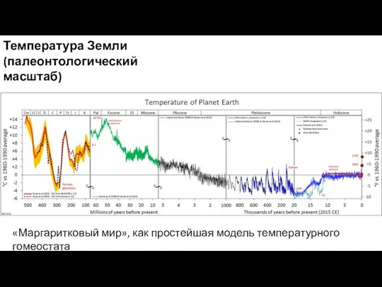 Температура Земли (палеонтологический масштаб) «Маргаритковый мир», как простейшая модель температурного гомеостата