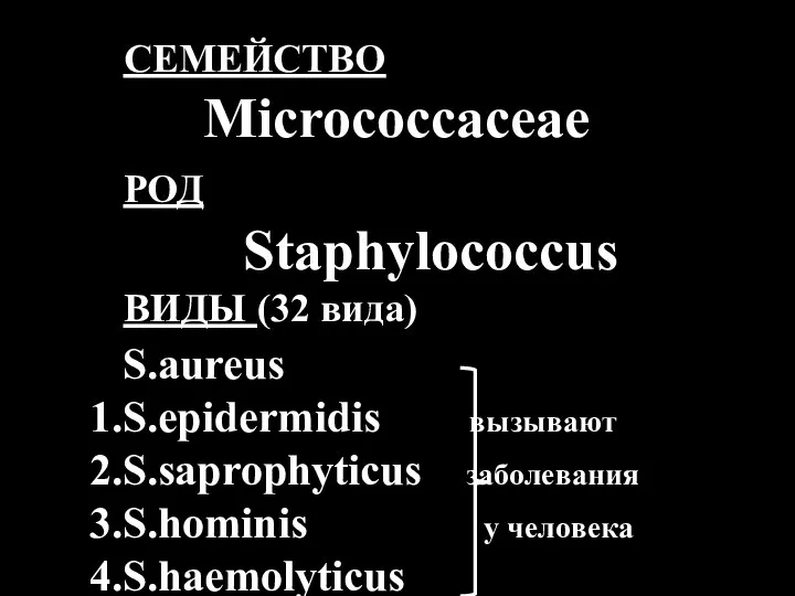 СЕМЕЙСТВО Micrococcaceae РОД Staphylococcus ВИДЫ (32 вида) S.aureus S.epidermidis вызывают S.saprophyticus заболевания S.hominis у человека S.haemolyticus