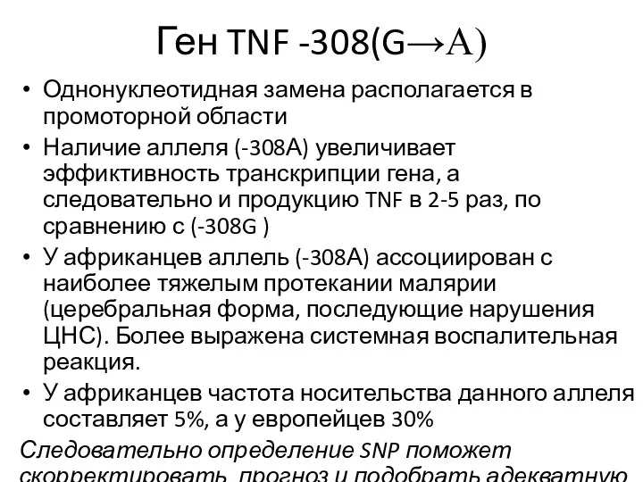 Ген TNF -308(G→A) Однонуклеотидная замена располагается в промоторной области Наличие аллеля (-308А)