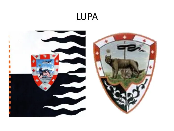 LUPA