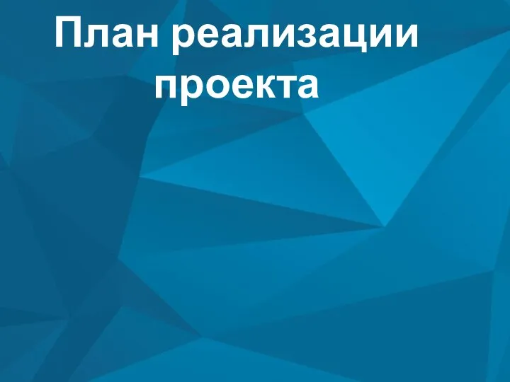 План реализации проекта