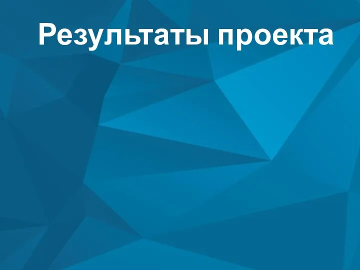 Результаты проекта