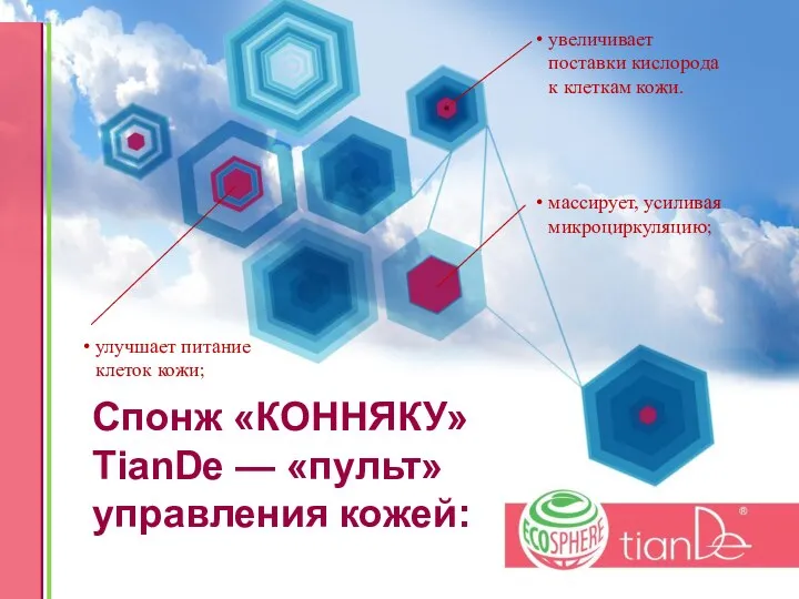 Спонж «КОННЯКУ» TianDe — «пульт» управления кожей: массирует, усиливая микроциркуляцию; улучшает питание