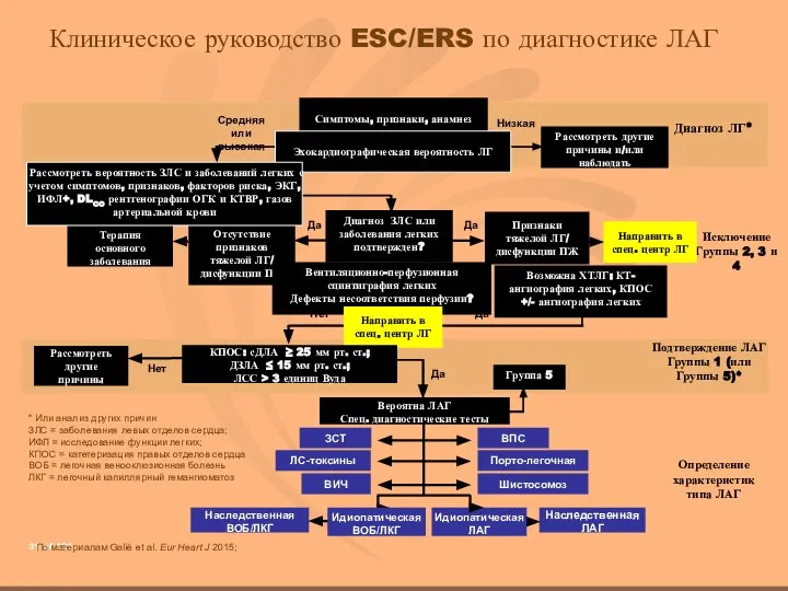 Исключение Группы 2, 3 и 4 Да Нет Диагноз ЛГ* Подтверждение ЛАГ