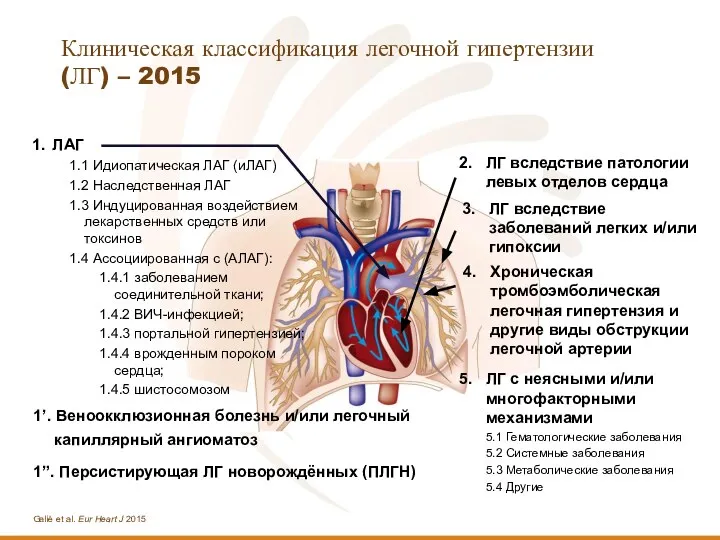 Клиническая классификация легочной гипертензии (ЛГ) – 2015 5. ЛГ с неясными и/или