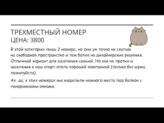 ТРЕХМЕСТНЫЙ НОМЕР ЦЕНА: 3800 В этой категории лишь 2 номера, но они