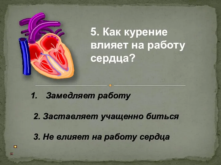 Замедляет работу 2. Заставляет учащенно биться 3. Не влияет на работу сердца