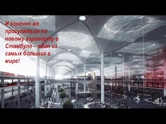 И конечно же прогуляться по новому аэропорту в Стамбуле – один из самых больших в мире!