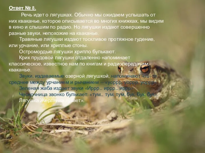 Ответ № 8. Речь идет о лягушках. Обычно мы ожидаем услышать от