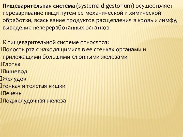 Пищеварительная система (systema digestorium) осуществляет переваривание пищи путем ее механической и химической