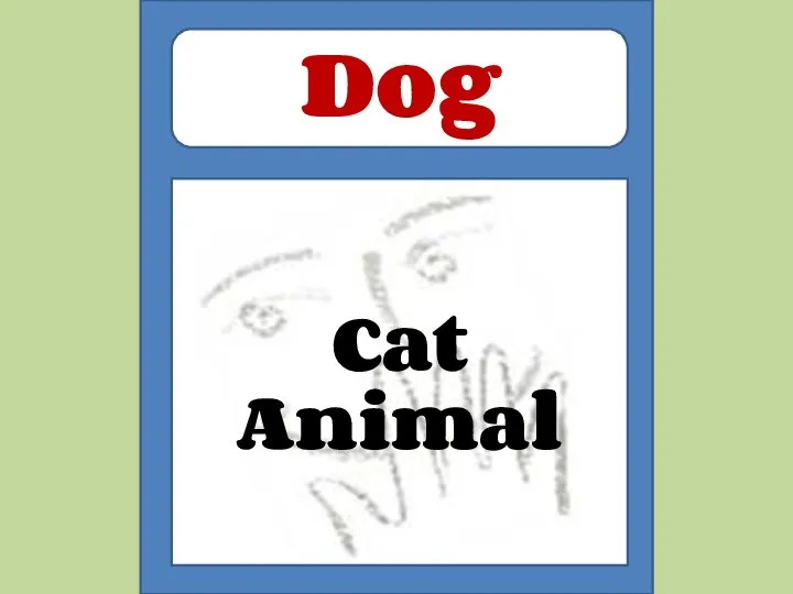 Cat Animal Dog
