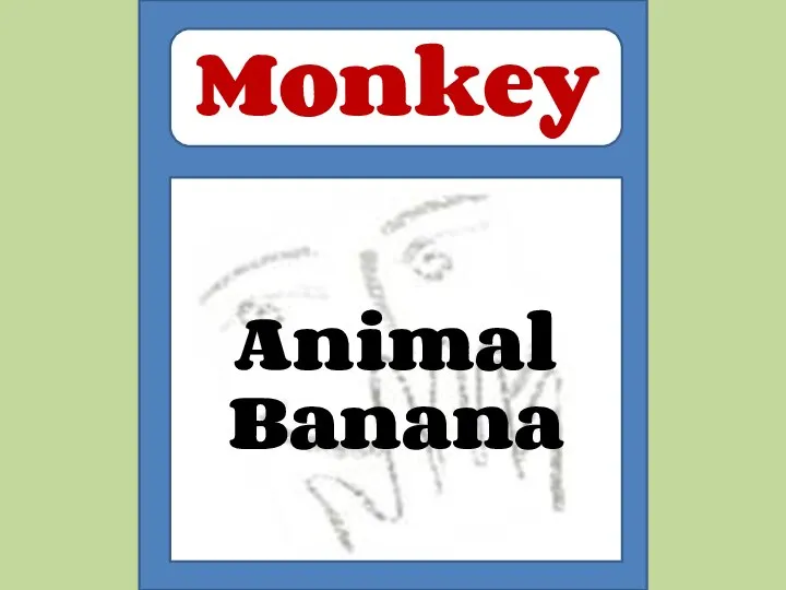 Animal Banana Monkey