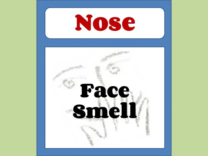 Face Smell Nose
