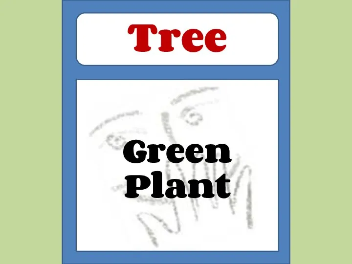 Green Plant Tree