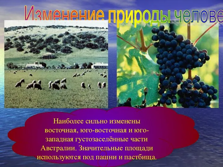 Изменение природы человеком Наиболее сильно изменены восточная, юго-восточная и юго-западная густозаселённые части