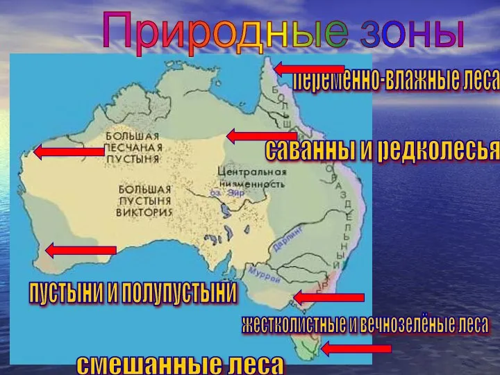 Природные зоны жестколистные и вечнозелёные леса переменно-влажные леса пустыни и полупустыни саванны и редколесья смешанные леса